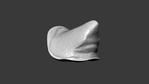 Rhino Horn Small Highpoly Sculpt