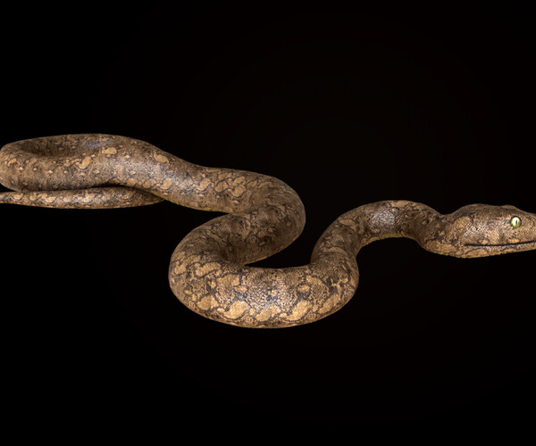 ArtStation - Snake Python 3d Model | Game Assets