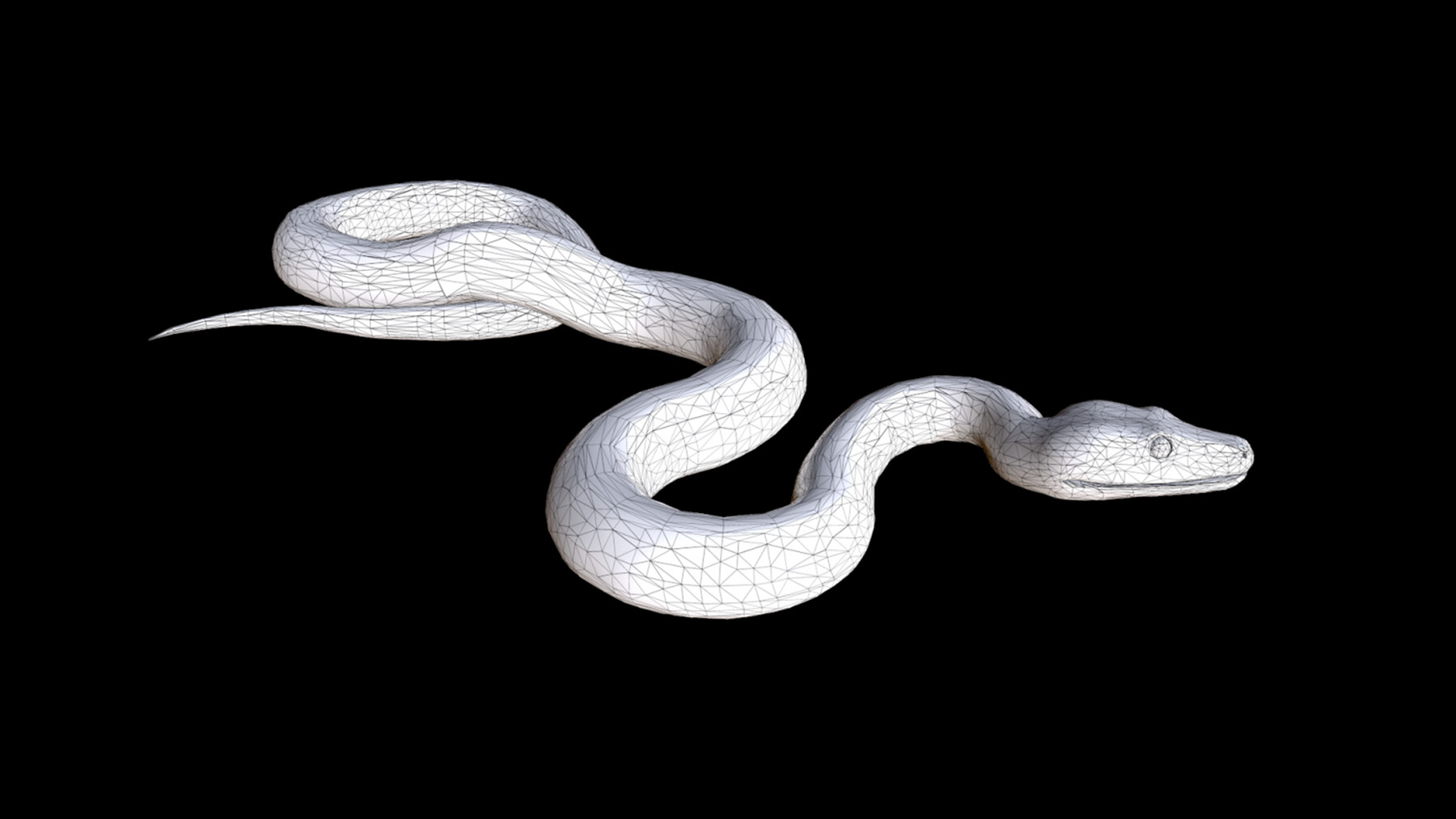 Snake Python 3d Model