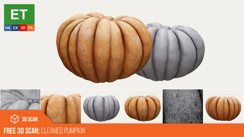 FREE Cleaned Pumpkin 3D Scan