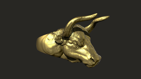 Taurus  Bull Ring