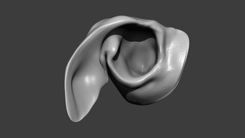 Dog Ear Highpoly Sculpt