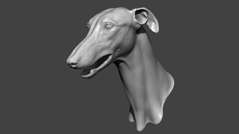 Dog Head Highpoly Sculpt