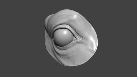 Horse Eye Socket Highpoly Sculpt