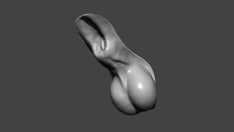 Horse Genitals Highpoly Sculpt