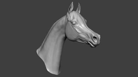 Horse Head Highpoly Sculpt