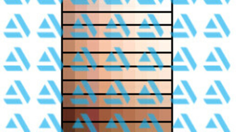 Skin Tones Palette 3 for Clip Studio Paint and Ex