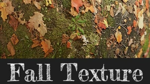 Early Fall Textures