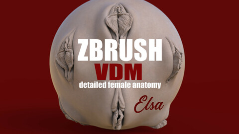 ELSA- ZBRUSH VDM- female anatomy