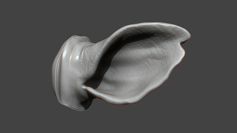 Bull Ear Highpoly Sculpt