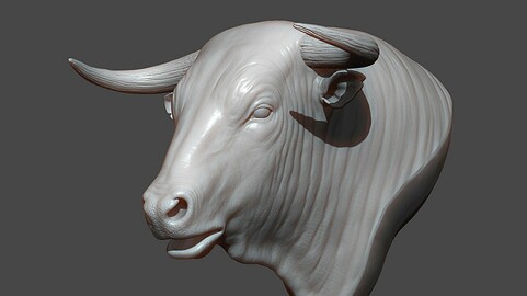 Bull Head Highpoly Sculpt