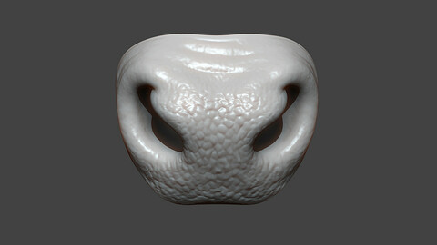 Bull Nose Highpoly Sculpt