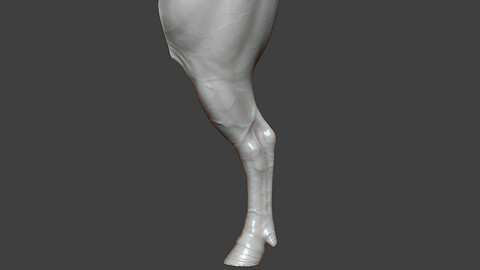 Bull Rear Leg Highpoly Sculpt