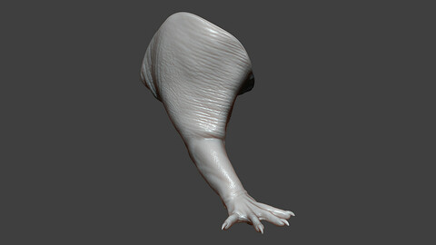 Rat Front Leg Highpoly Sculpt