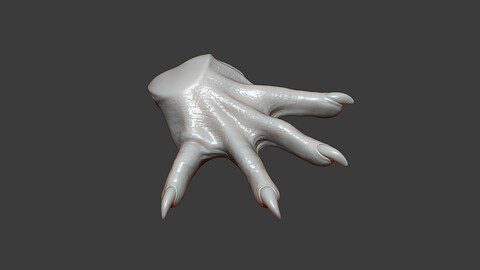 Rat Wrist Highpoly Sculpt
