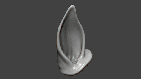 Horse Foal Ear Highpoly Sculpt