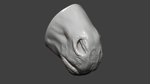 Horse Foal Mouth Highpoly Sculpt