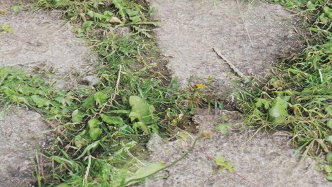 Old Path 2 PBR Material