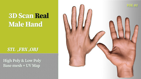 3D Scan Real Male Hand VOL 01