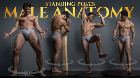Male Anatomy- Standing Turnaround Poses- Photo Reference Pack-851 JPEGs