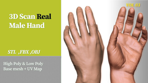 3D Scan Real Male Hand VOL 03