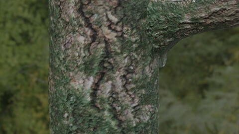 Tree Bark 36 PBR Material