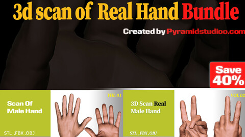 3d scan of Real Hand Bundle