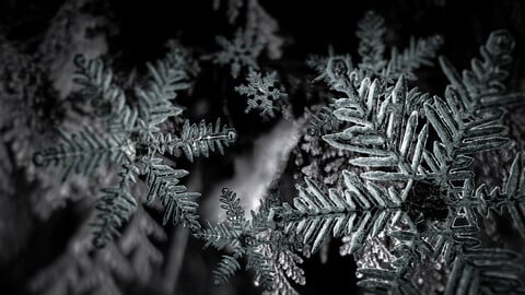 Procedural Snowflake Generator