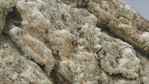 Stone Wall 15 PBR Material