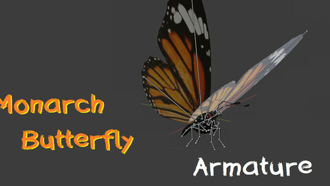 Monarch Butterfly (Borboleta Monarca)