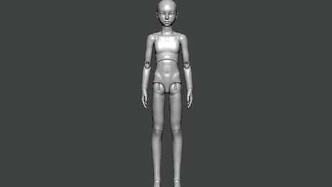 3D Model-ANATOMY0001
