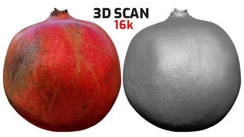 POMEGRANATE FRUIT 3D MODEL - PBR GAME READY - LOW POLY \ HIGH POLY - CROSS-POLARIZED MACRO 3D SCAN - 16k TEXTURES