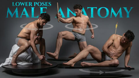 Male Anatomy- Lower Turnaround Poses- Photo Reference Pack-545 JPEGs