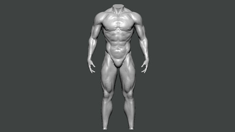 3D Model-ANATOMY0015