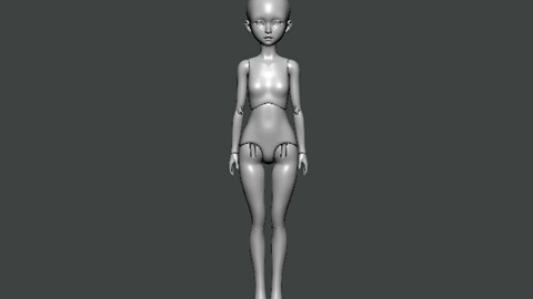3D Model-ANATOMY0016