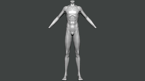3D Model-ANATOMY0026