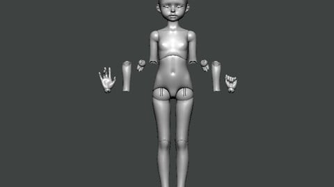 3D Model-ANATOMY0031