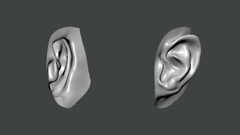 3D Model-EAR0002