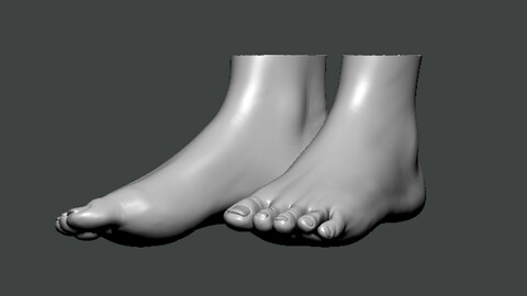 3D Model-FOOT0001