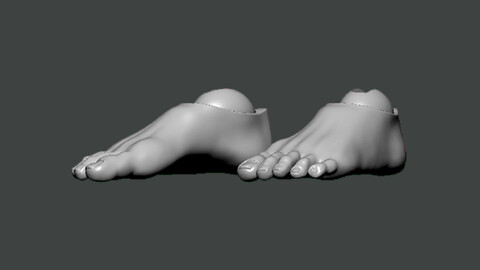 3D Model-FOOT0002