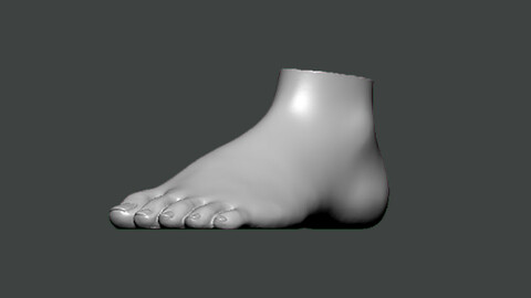 3D Model-FOOT0003