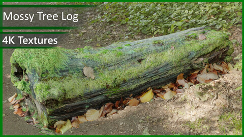 Tree Log VOL 01