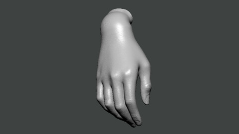 3D Model-HAND0007