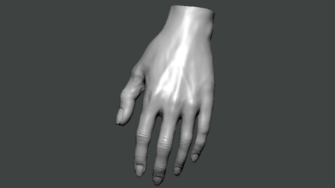 3D Model-HAND0013