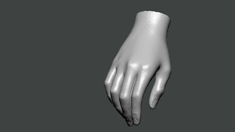 3D Model-HAND0018