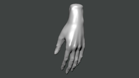 3D Model-HAND0021