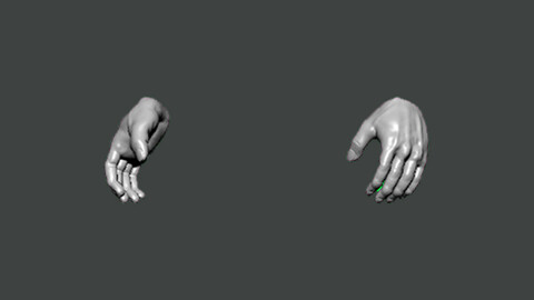 3D Model-HAND0023
