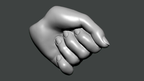 3D Model-HAND0024