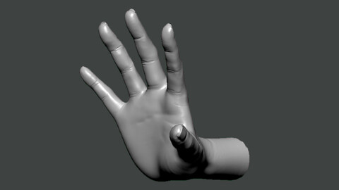 3D Model-HAND0027