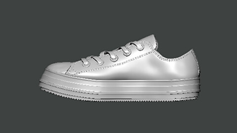 3D Model-SHOES0014